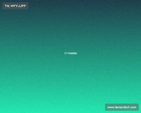 2018年羽毛球比赛